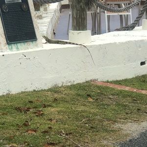 Meet your Posher, Jayden